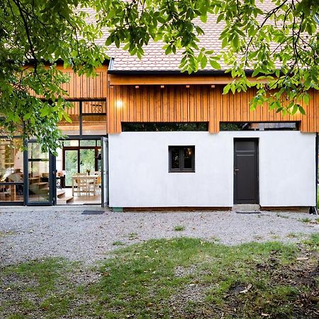 Aster Panzio Bed & Breakfast Cîmpu Cetăţii Екстериор снимка
