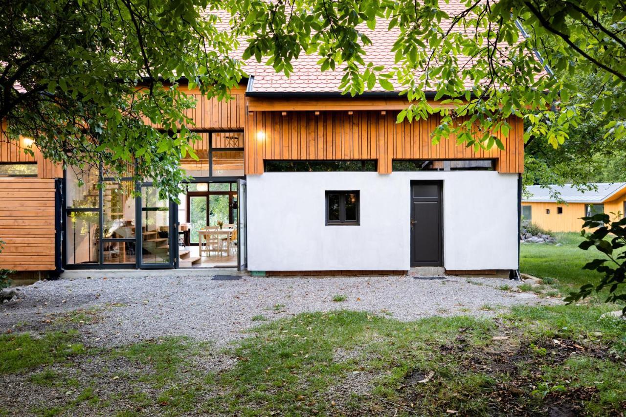 Aster Panzio Bed & Breakfast Cîmpu Cetăţii Екстериор снимка