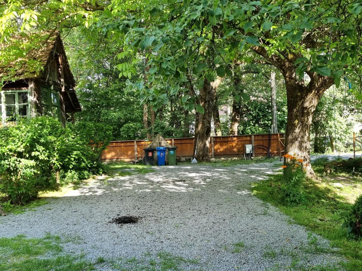 Aster Panzio Bed & Breakfast Cîmpu Cetăţii Екстериор снимка