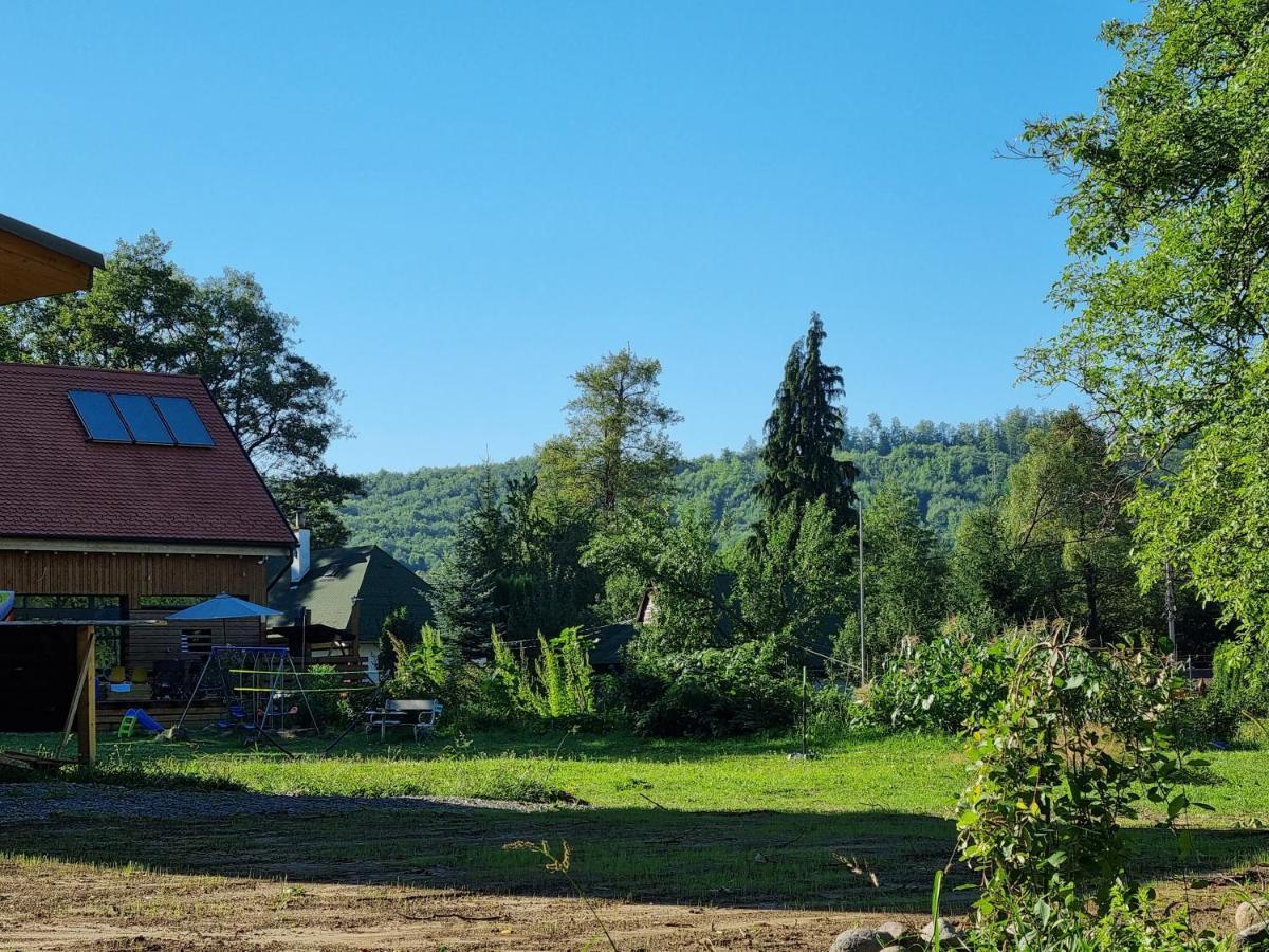 Aster Panzio Bed & Breakfast Cîmpu Cetăţii Екстериор снимка