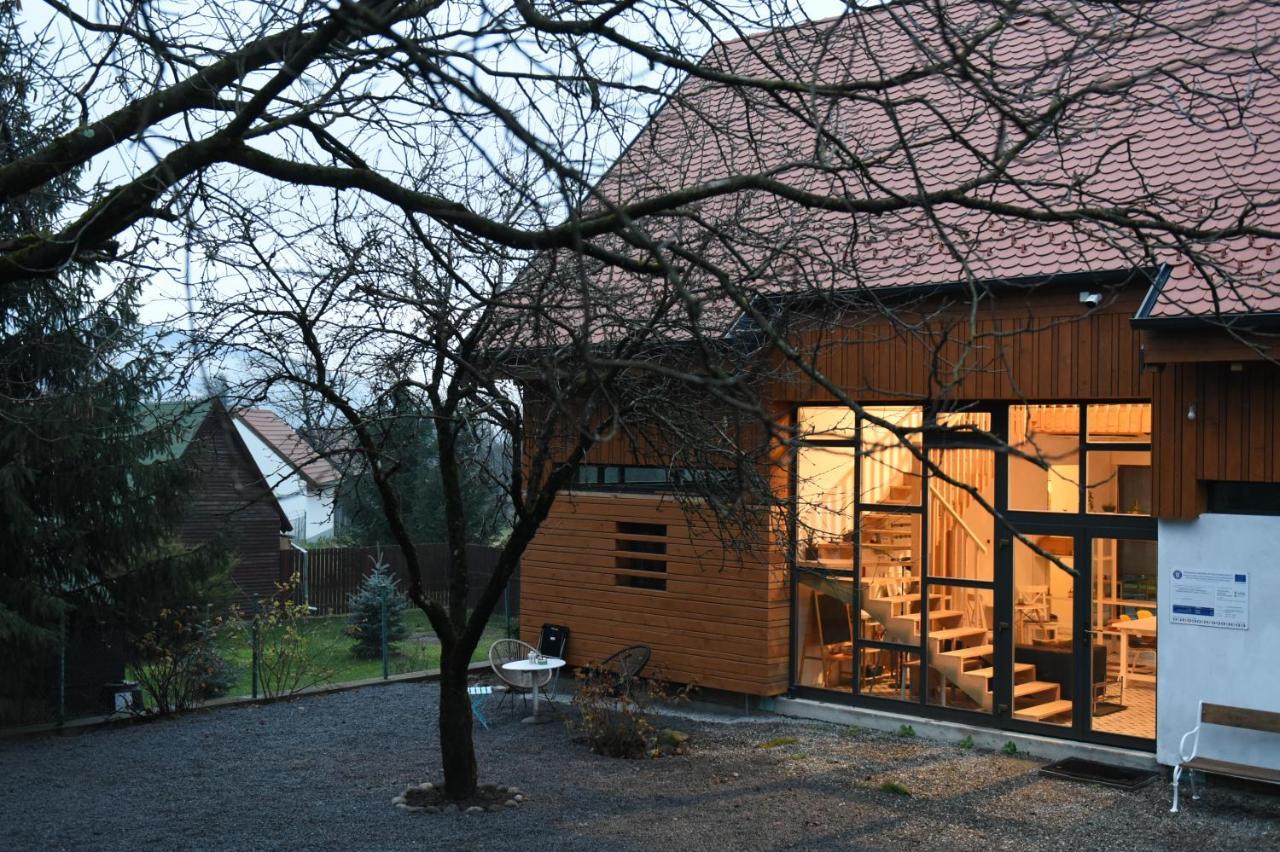 Aster Panzio Bed & Breakfast Cîmpu Cetăţii Екстериор снимка