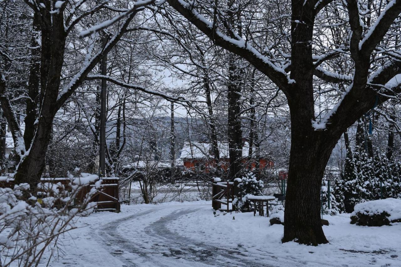 Aster Panzio Bed & Breakfast Cîmpu Cetăţii Екстериор снимка