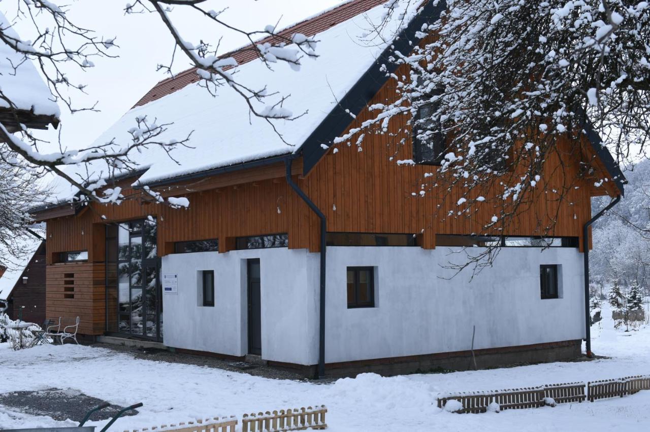 Aster Panzio Bed & Breakfast Cîmpu Cetăţii Екстериор снимка