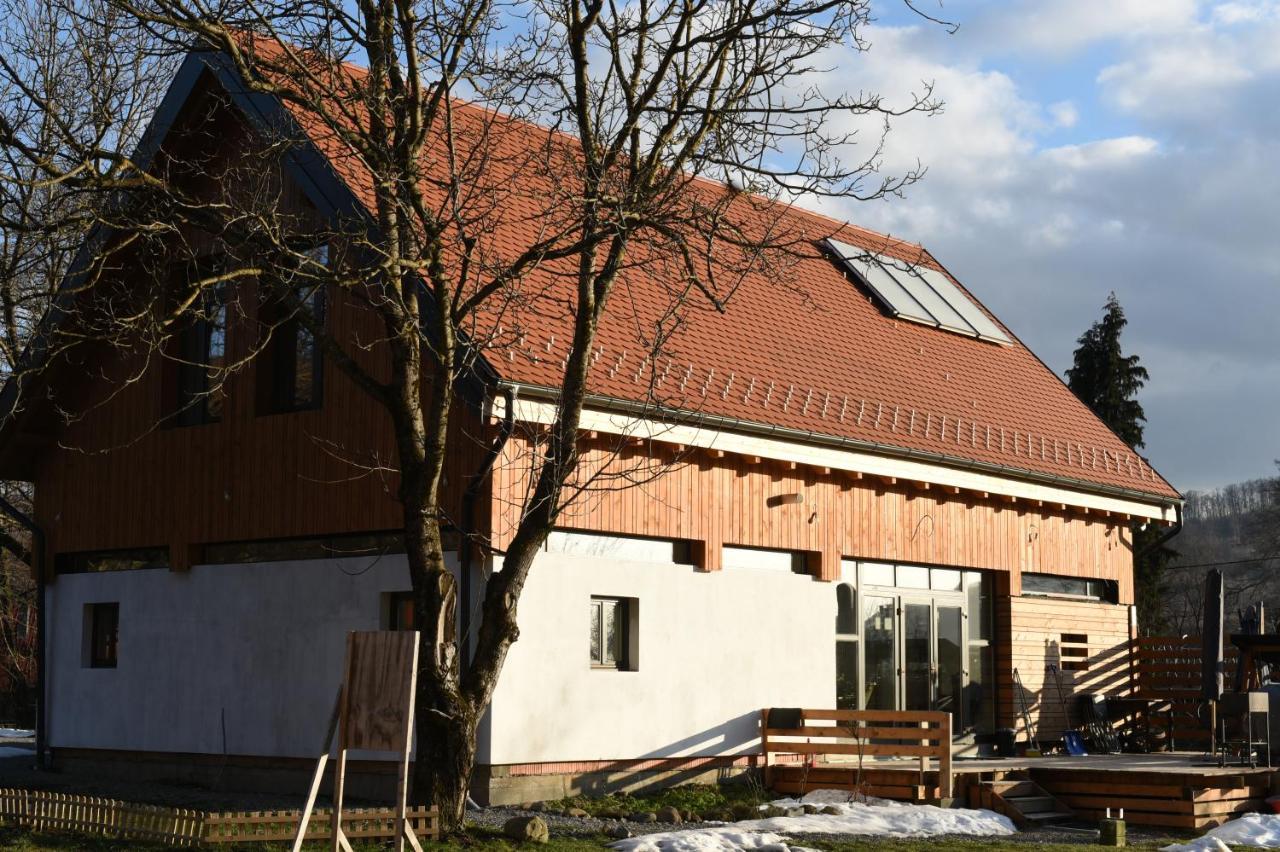 Aster Panzio Bed & Breakfast Cîmpu Cetăţii Екстериор снимка