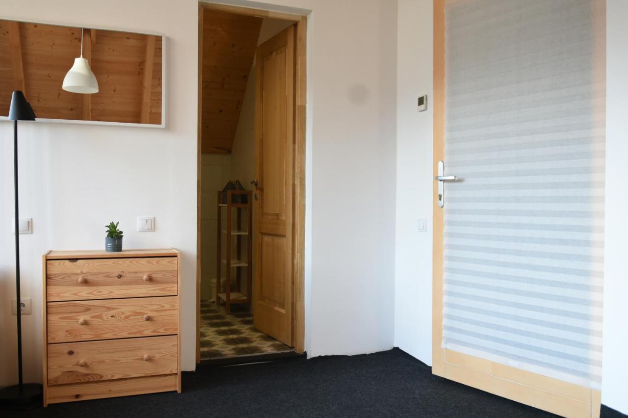 Aster Panzio Bed & Breakfast Cîmpu Cetăţii Екстериор снимка